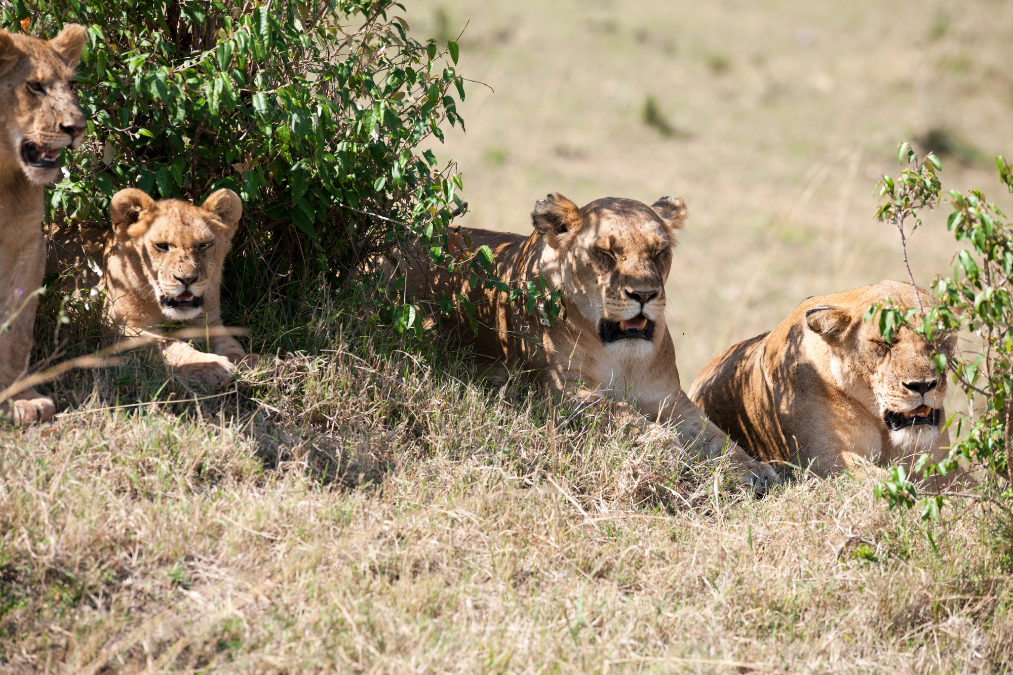 Why You Should Read Christian Spiritual Warfare Novels